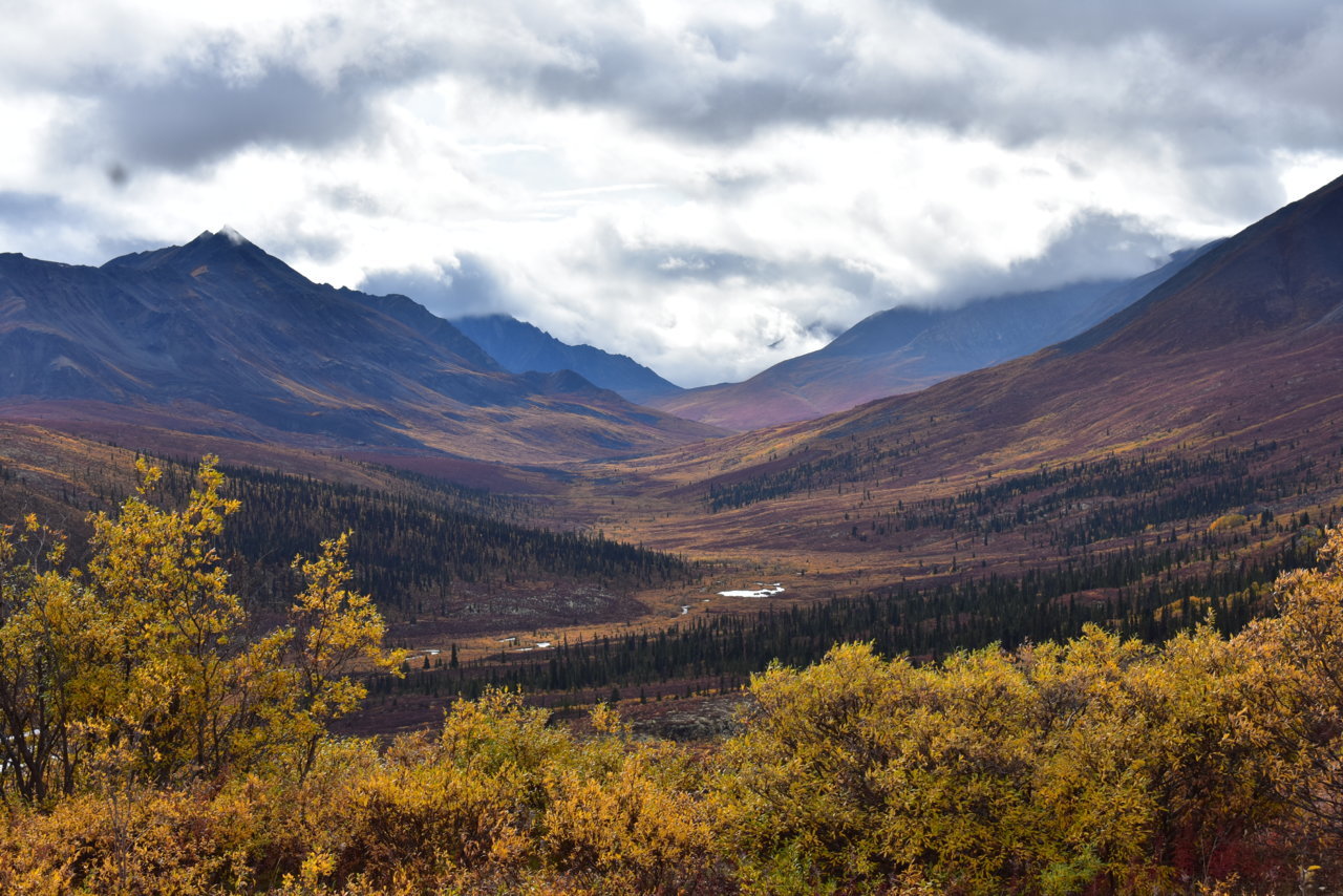 DSC_0089.jpg