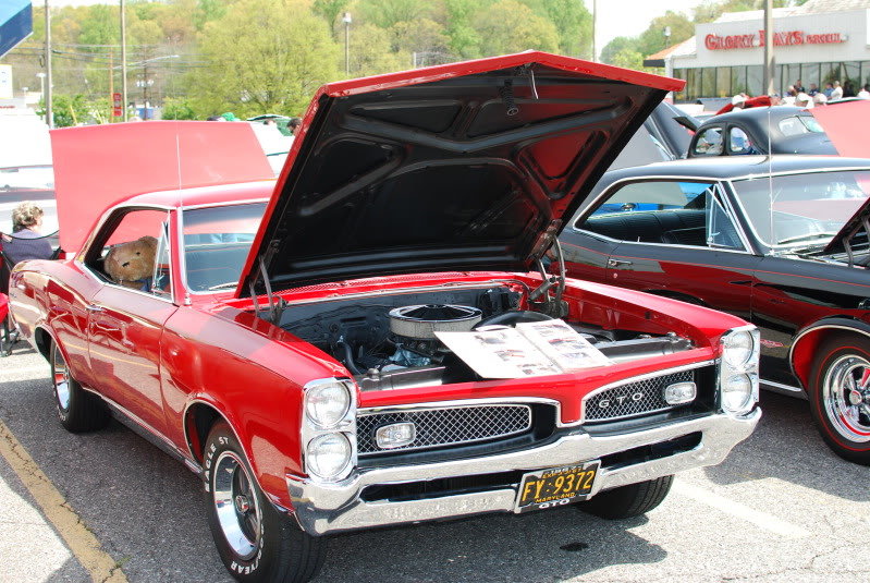 DSC_0089_02fba7bacababaaa4bd6cd11e52518713b1dd555.jpg