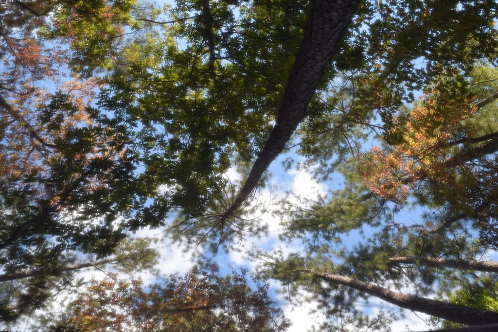DSC_0089_zpsmd6eppr5_d289da01566bb6037b568b905540f4a9076ae5f9.jpg