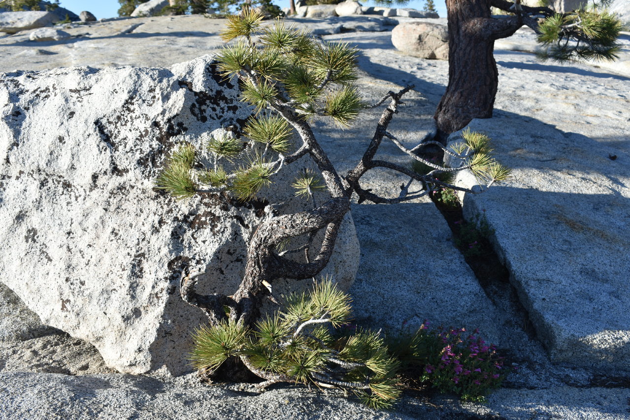 DSC_0090.jpg