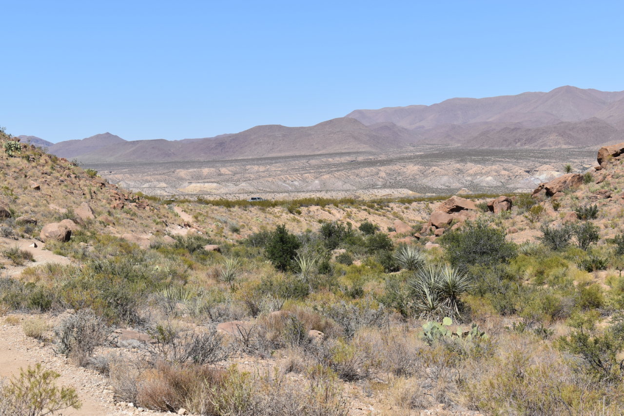 DSC_0091.jpg