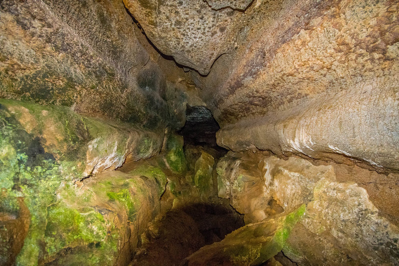 DSC_0094-94.jpg