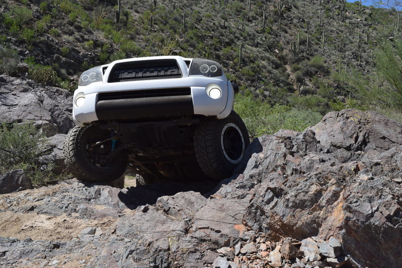 DSC_0094.jpg