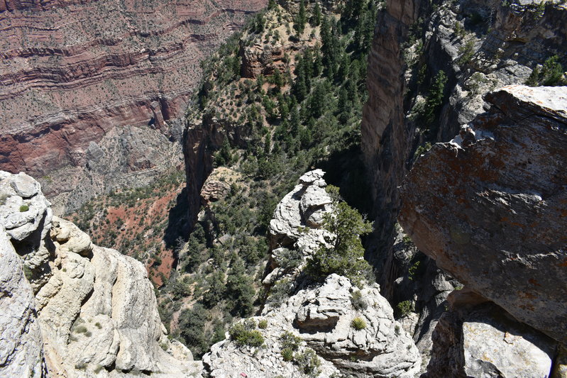 DSC_0094.jpg