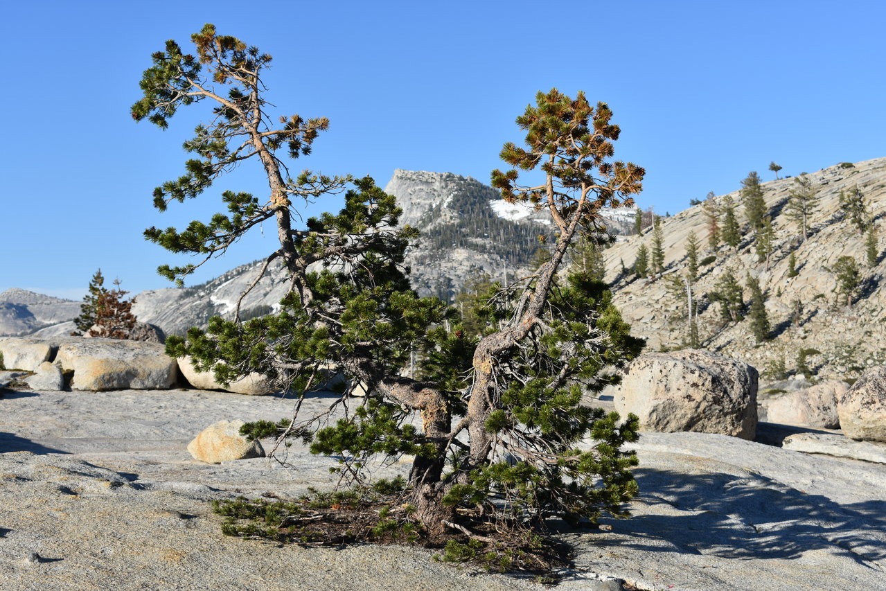 DSC_0094.jpg