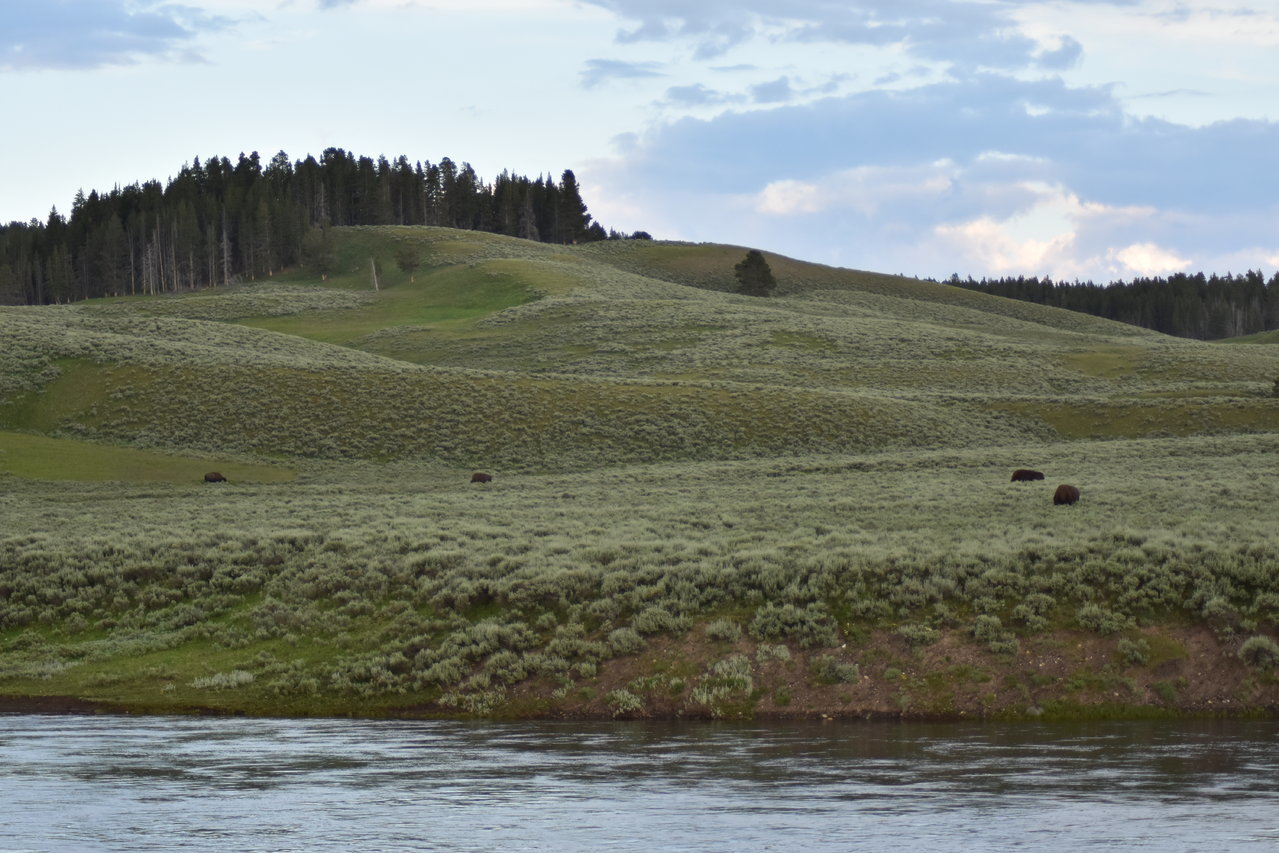 DSC_0094.jpg