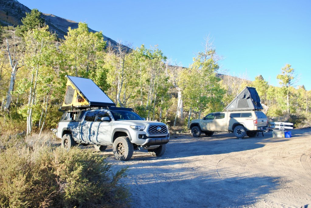 DSC_0094.jpg
