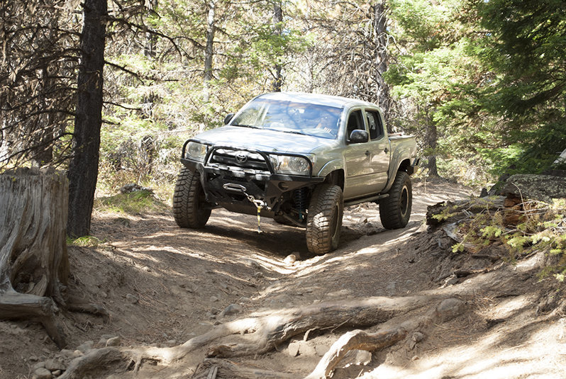 DSC_0095.jpg