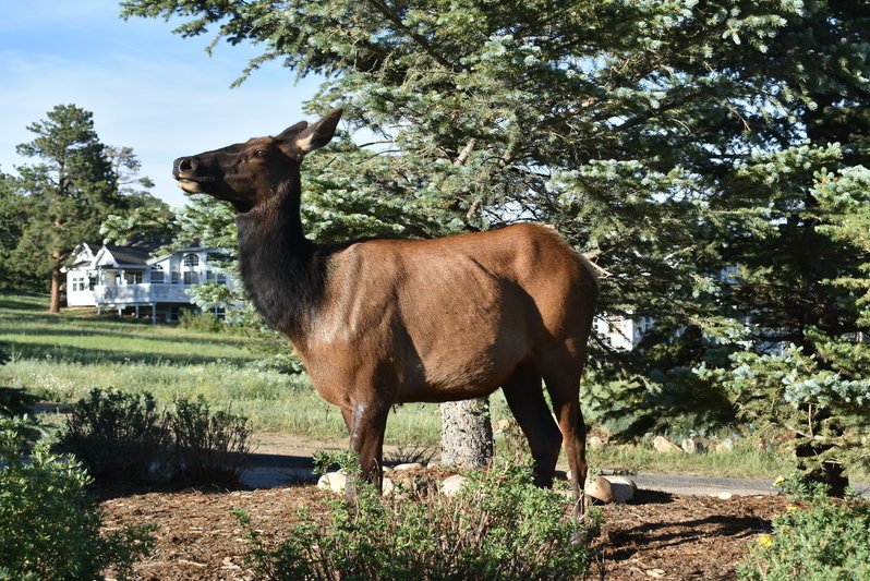DSC_0095.jpg