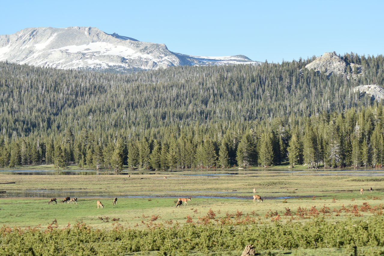 DSC_0095.jpg