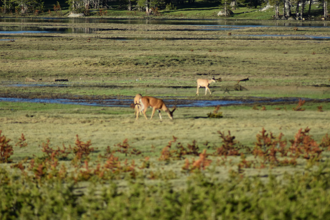 DSC_0096.jpg