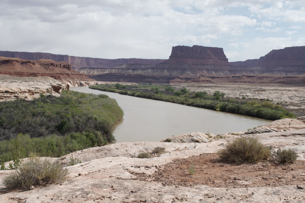 DSC_0096.jpg