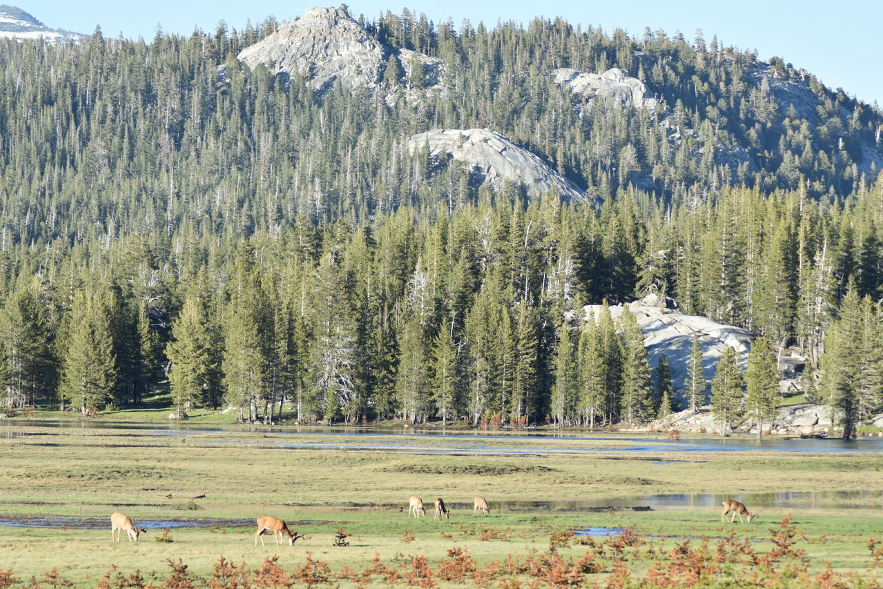 DSC_0097.jpg