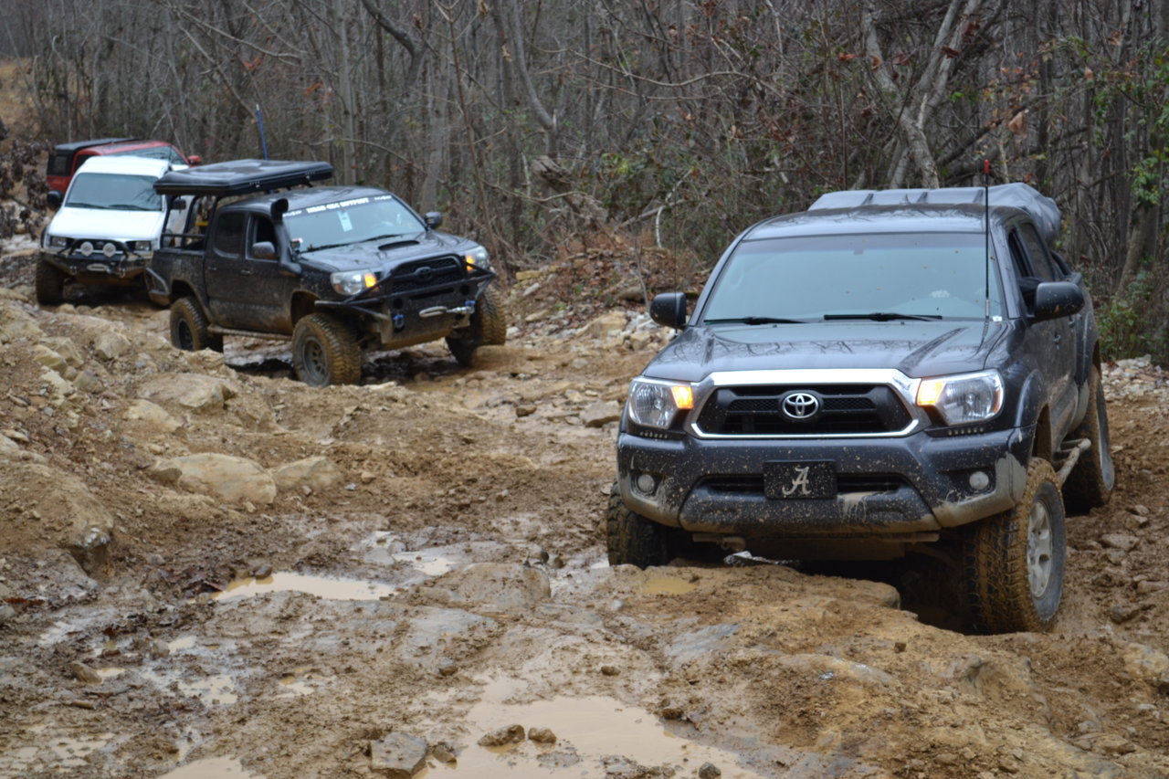 DSC_0097.jpg