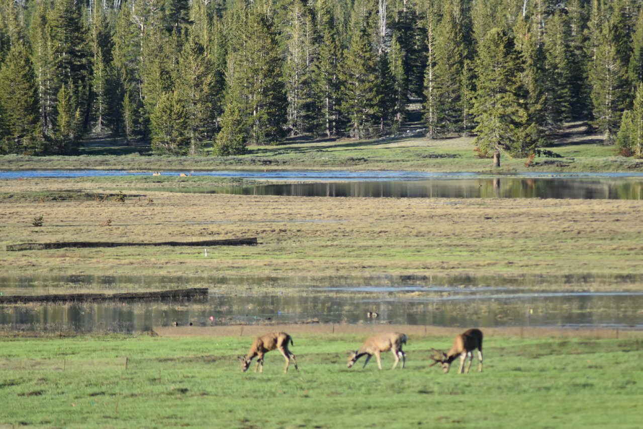DSC_0100.jpg