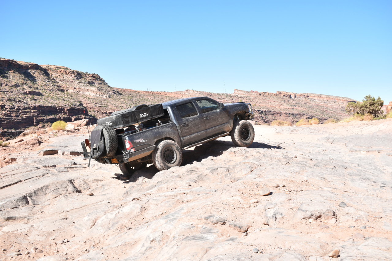DSC_0100.jpg