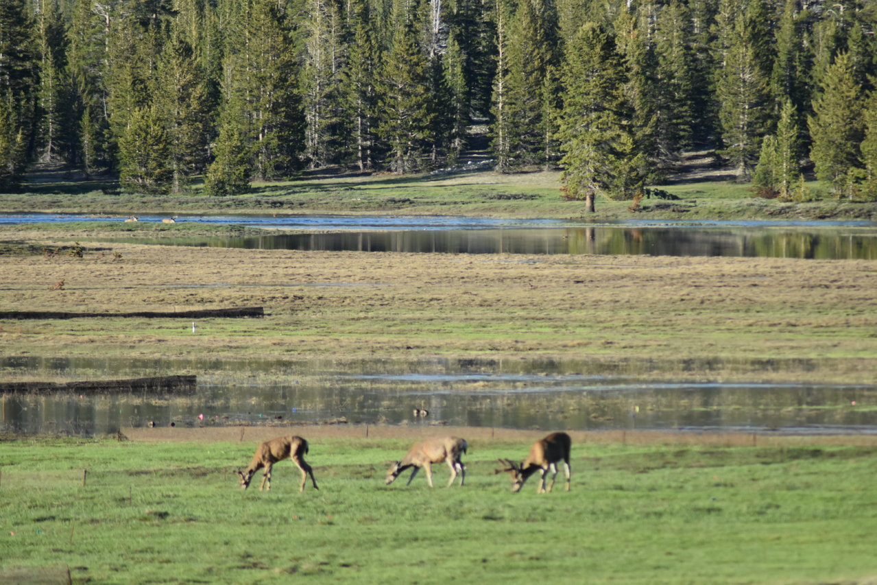 DSC_0101.jpg