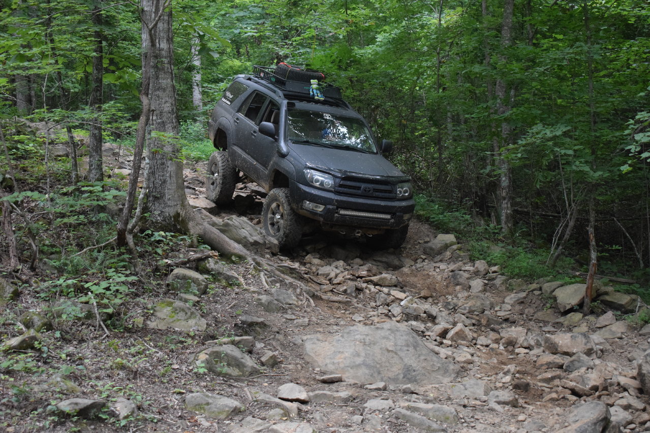 DSC_0101.jpg