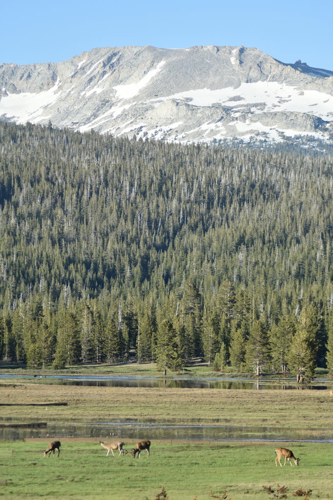 DSC_0102.jpg