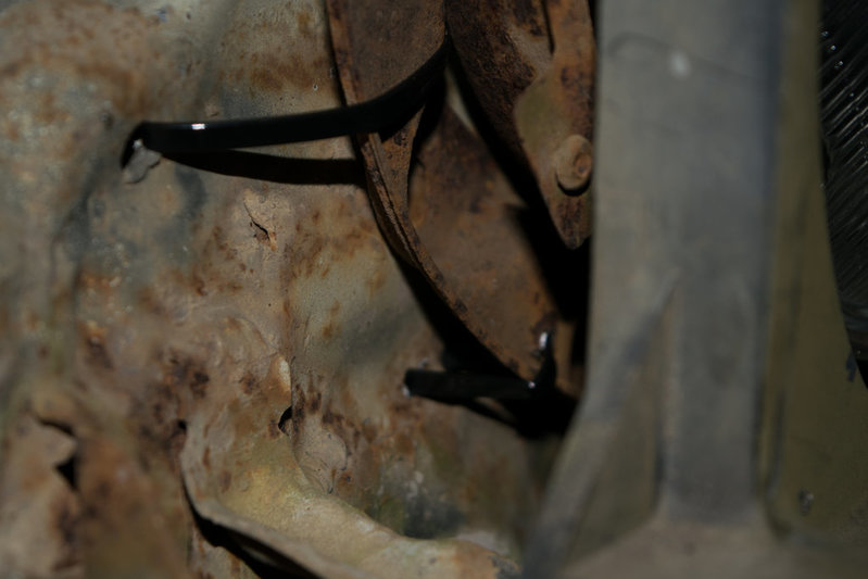 DSC_0106.jpg