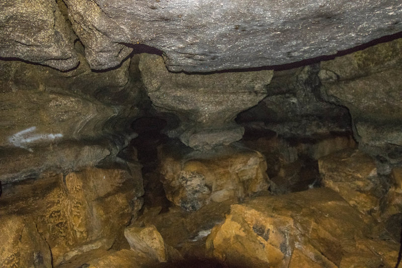 DSC_0110-110.jpg