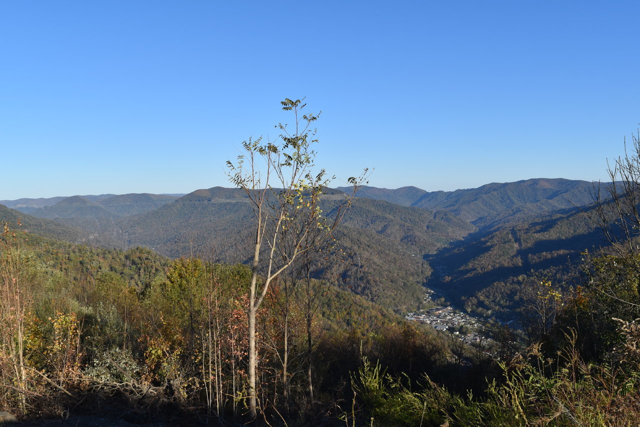 DSC_0110.jpg