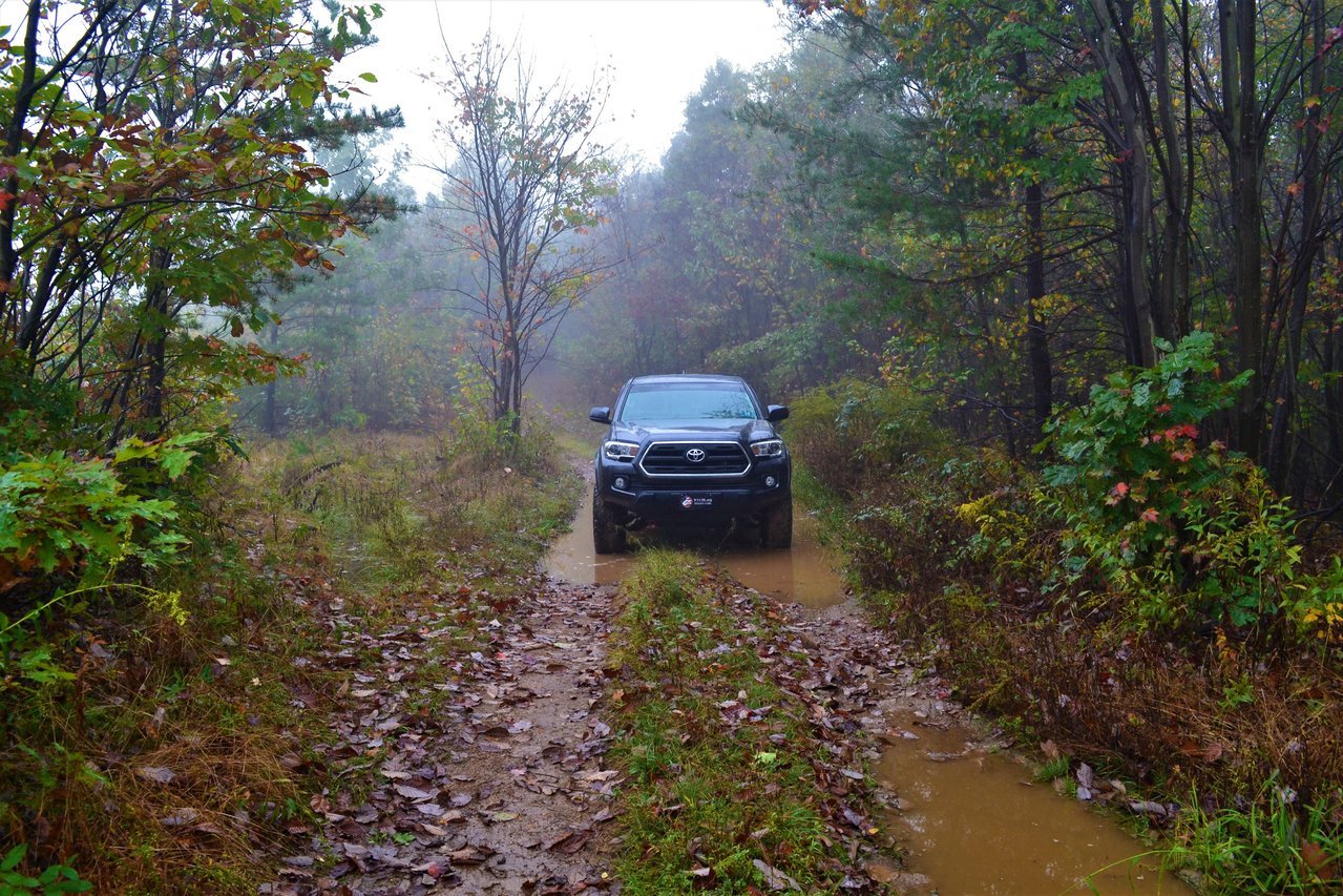 DSC_0111 (2).jpg