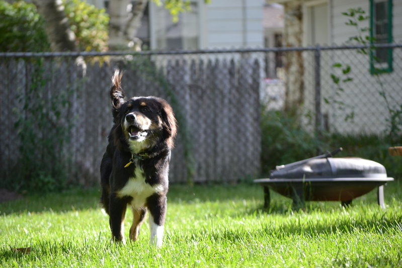 DSC_0111.jpg