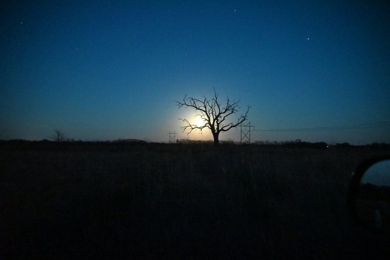 DSC_0112.jpg