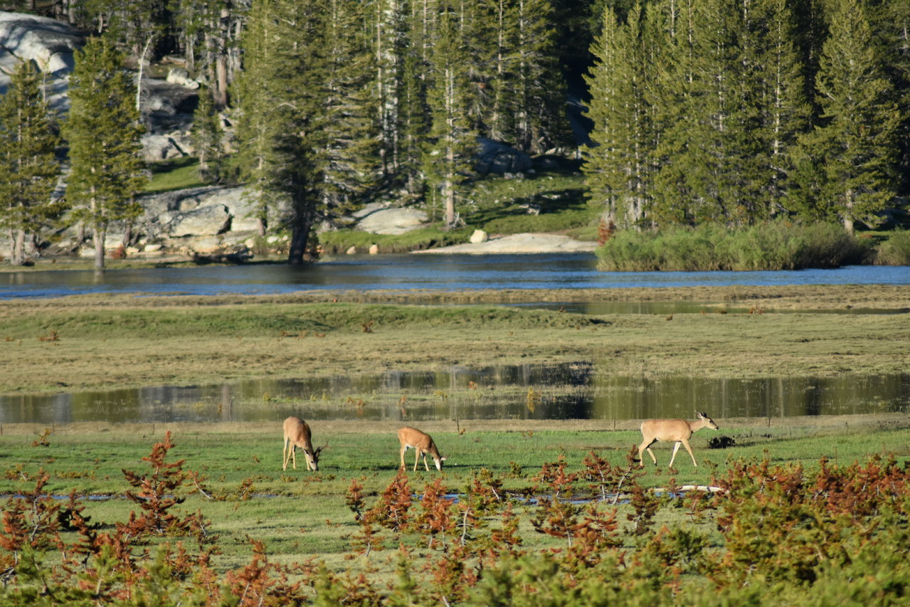 DSC_0113.jpg