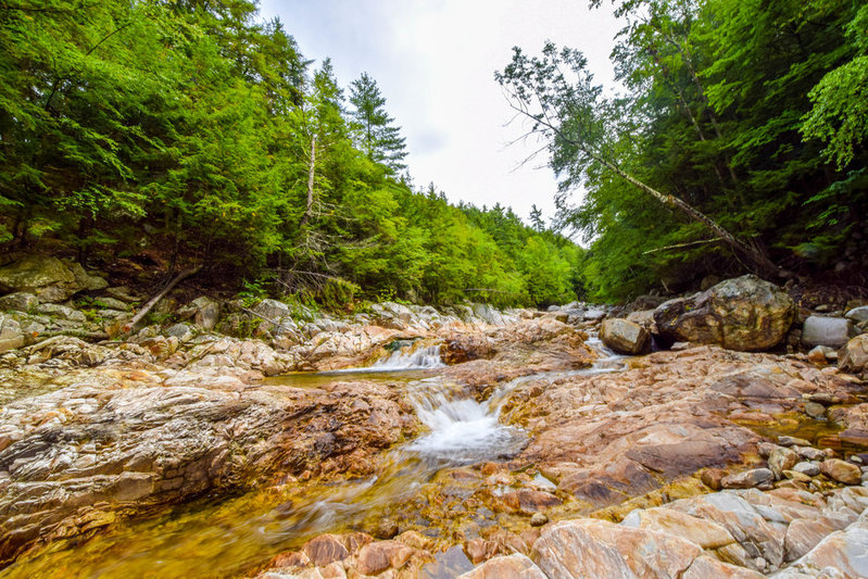 DSC_0114-14.jpg