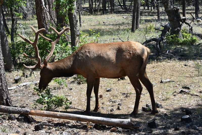 DSC_0114.jpg
