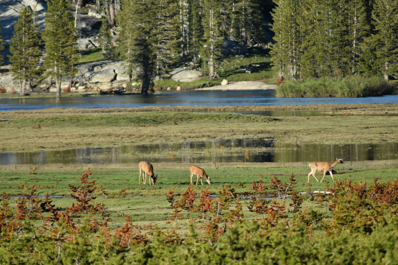 DSC_0114.jpg