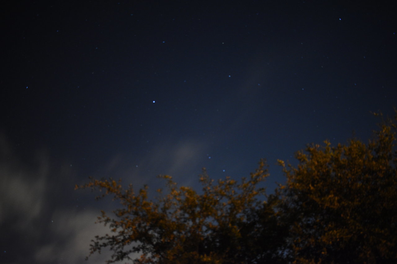 DSC_0116.jpg