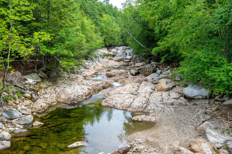 DSC_0117-16.jpg