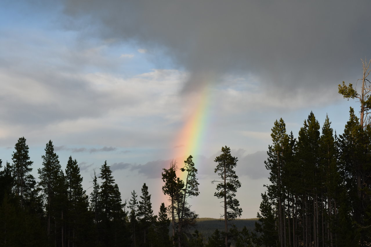 DSC_0119.jpg