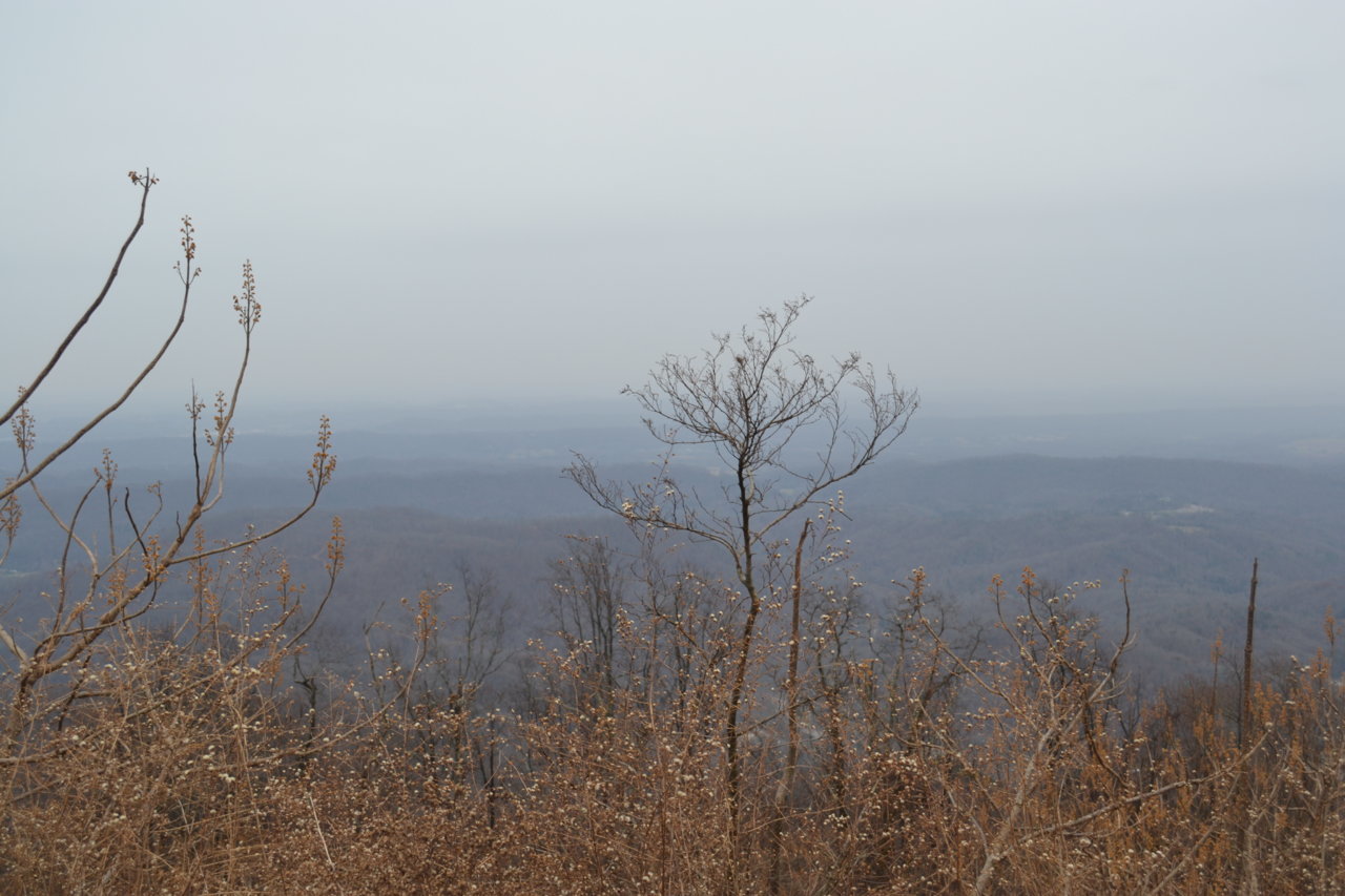 DSC_0120.jpg