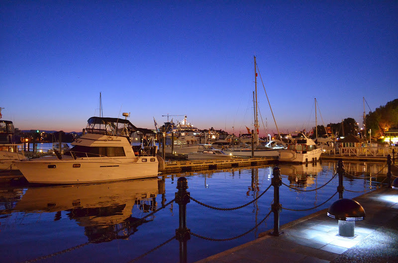 DSC_0120_4f8c5d8e90ef9b804a33cd520e8fa674267da548.jpg