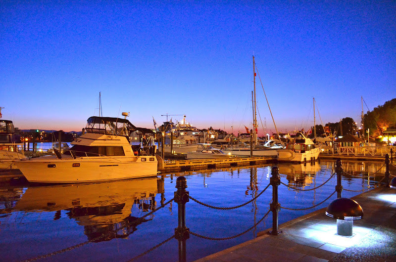 DSC_0120_e5f9d45a5d7be16641a28f4cb1549f40ee020d45.jpg