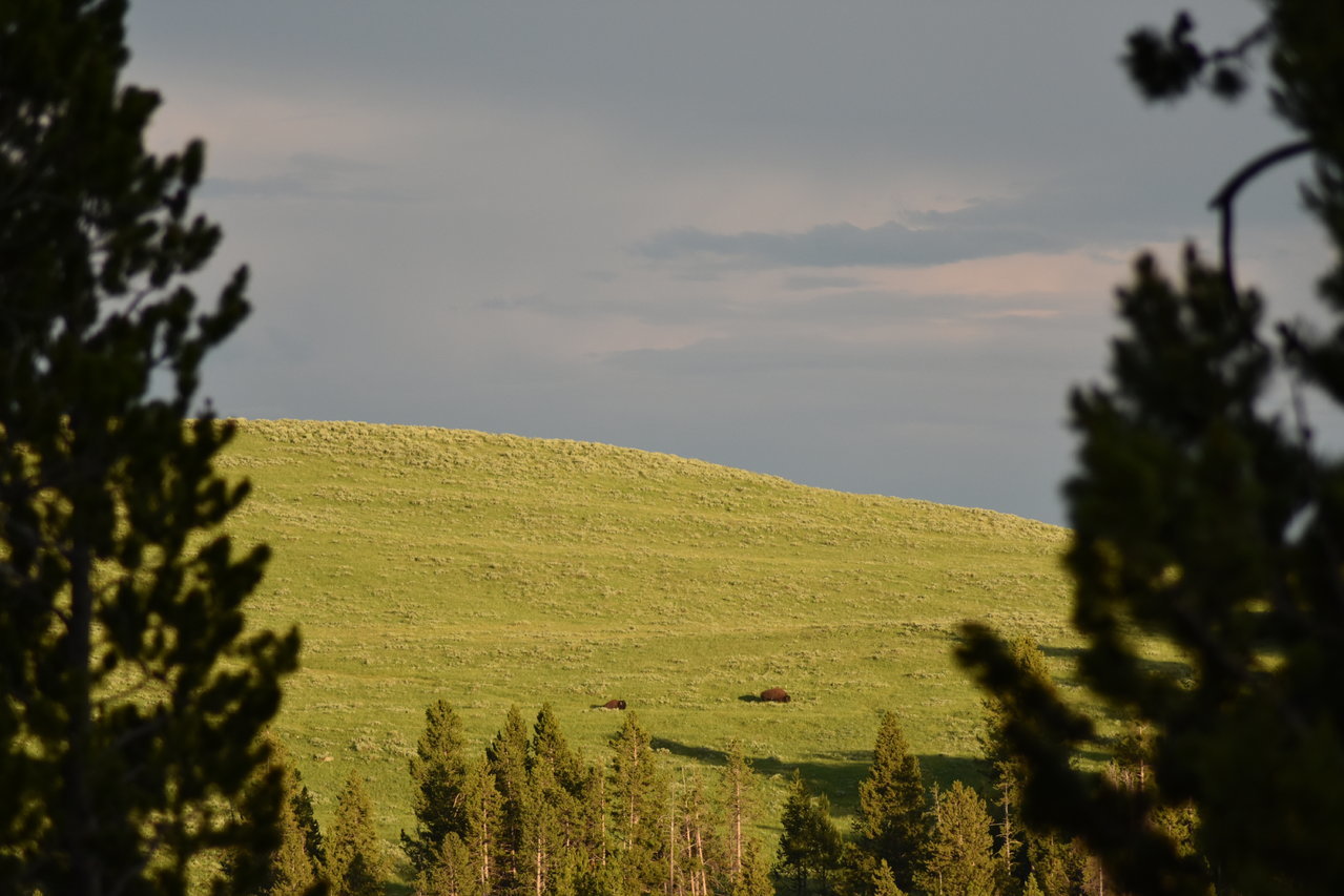 DSC_0122.jpg