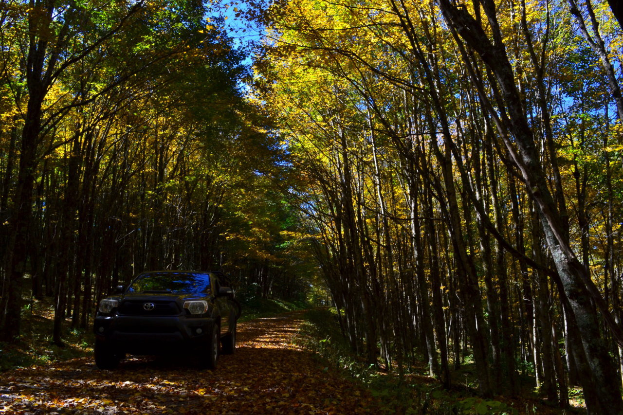 DSC_0123.jpg