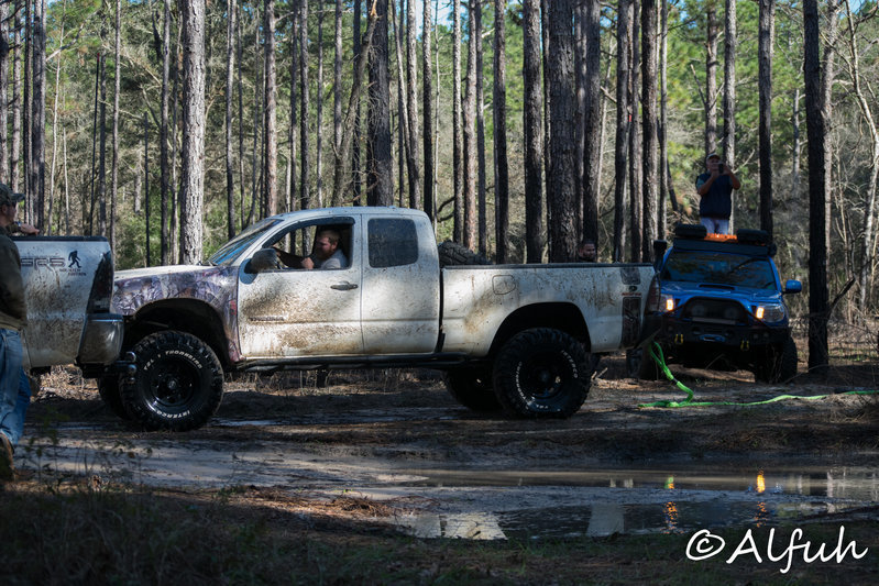 DSC_0125.jpg