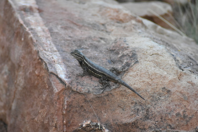 DSC_0126.jpg