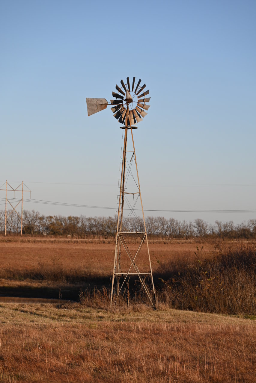 DSC_0129.jpg