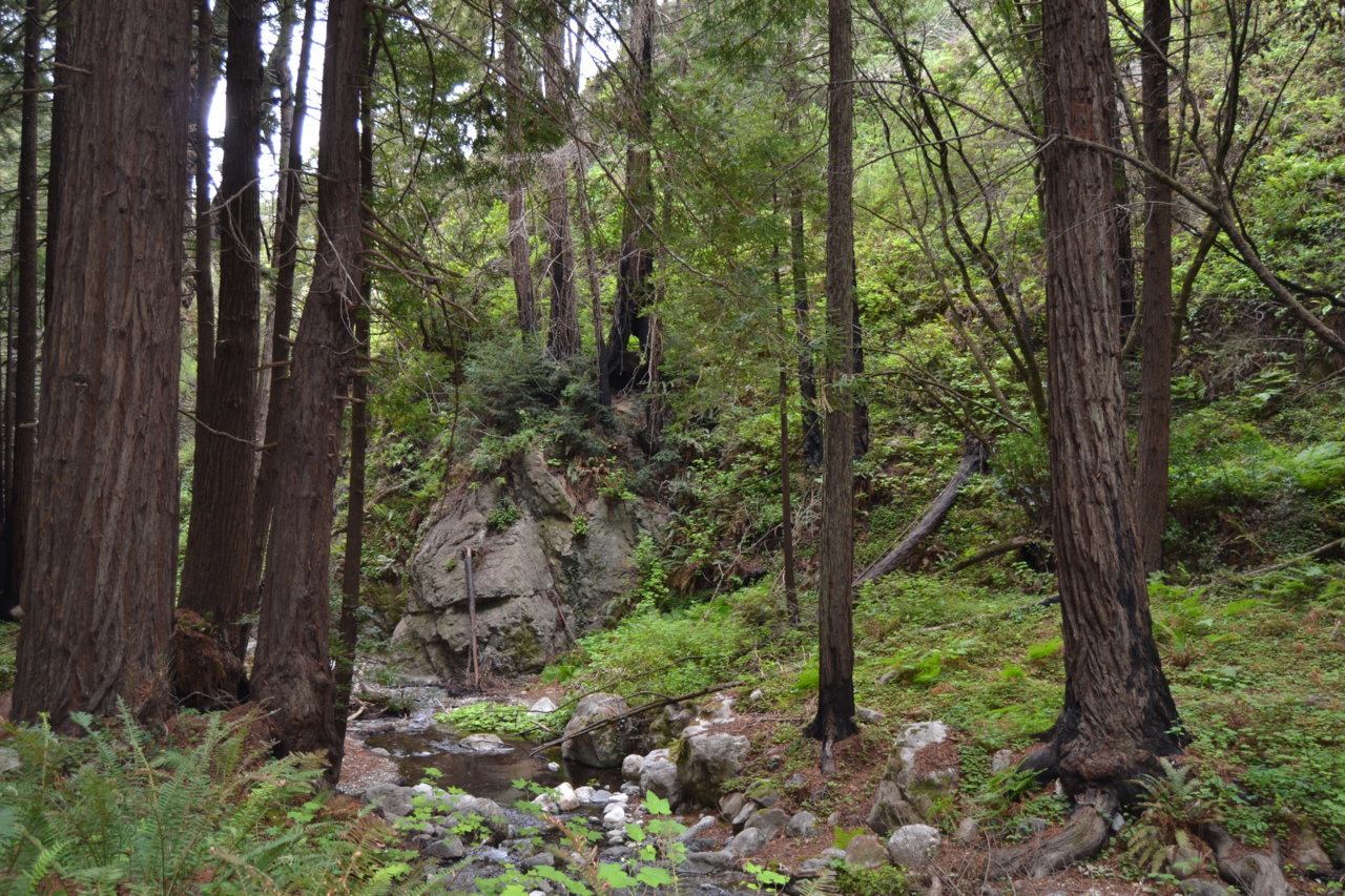 DSC_0129.jpg