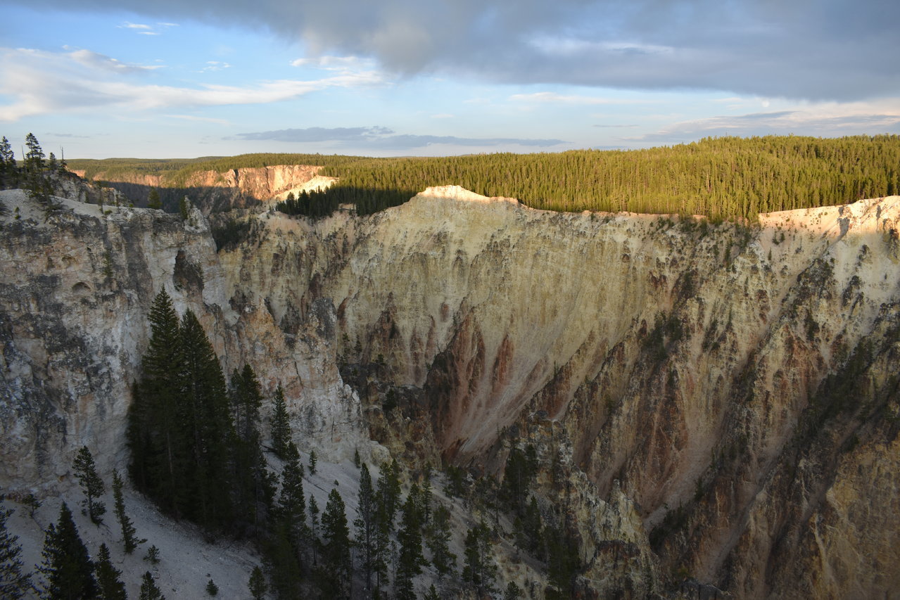 DSC_0130.jpg