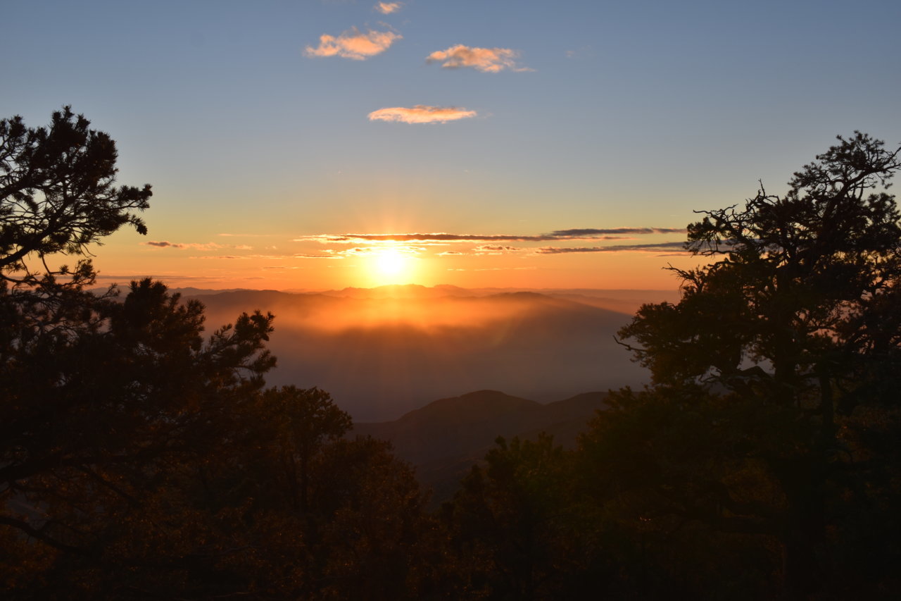 DSC_0132.jpg