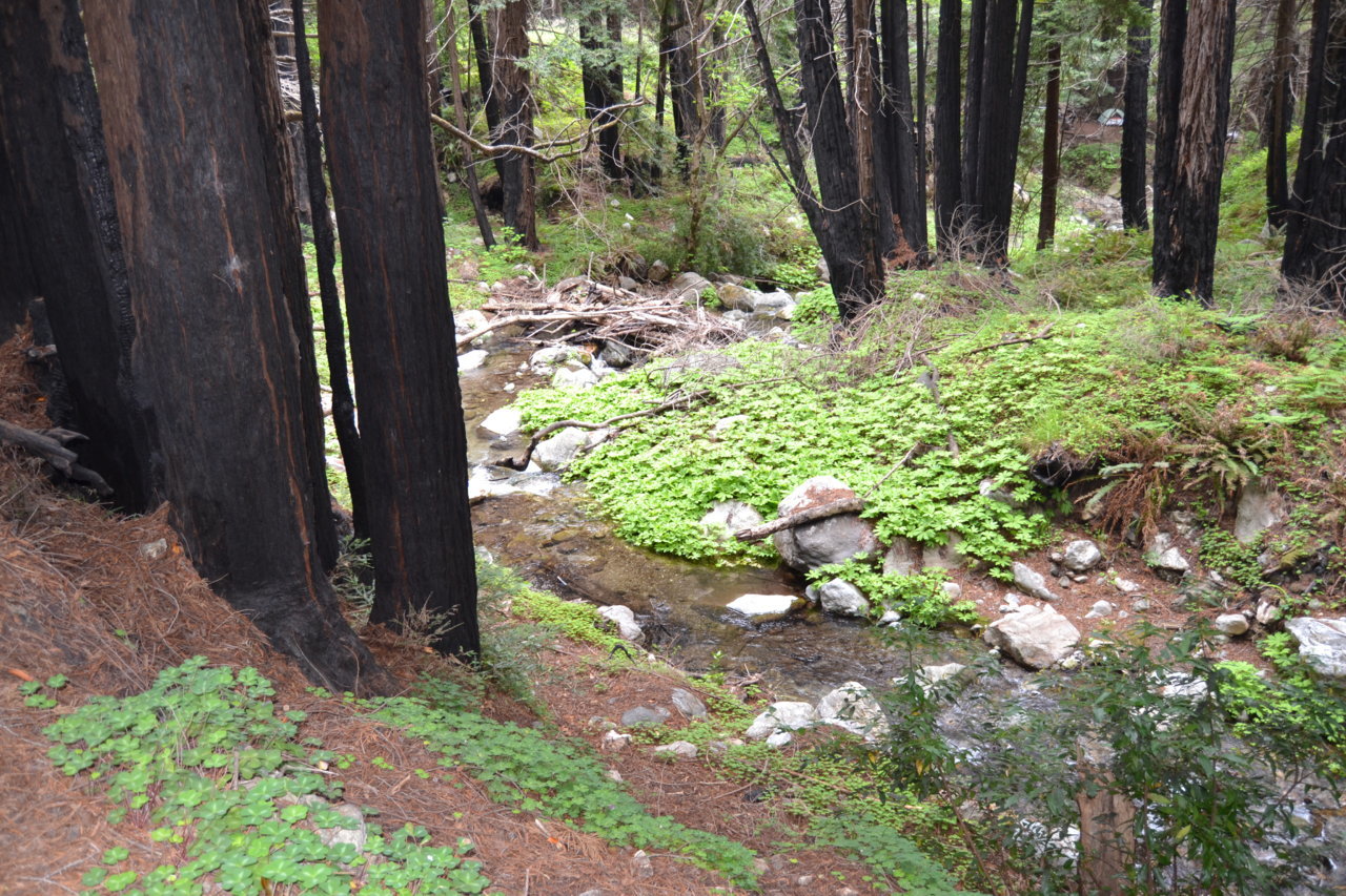 DSC_0132.jpg