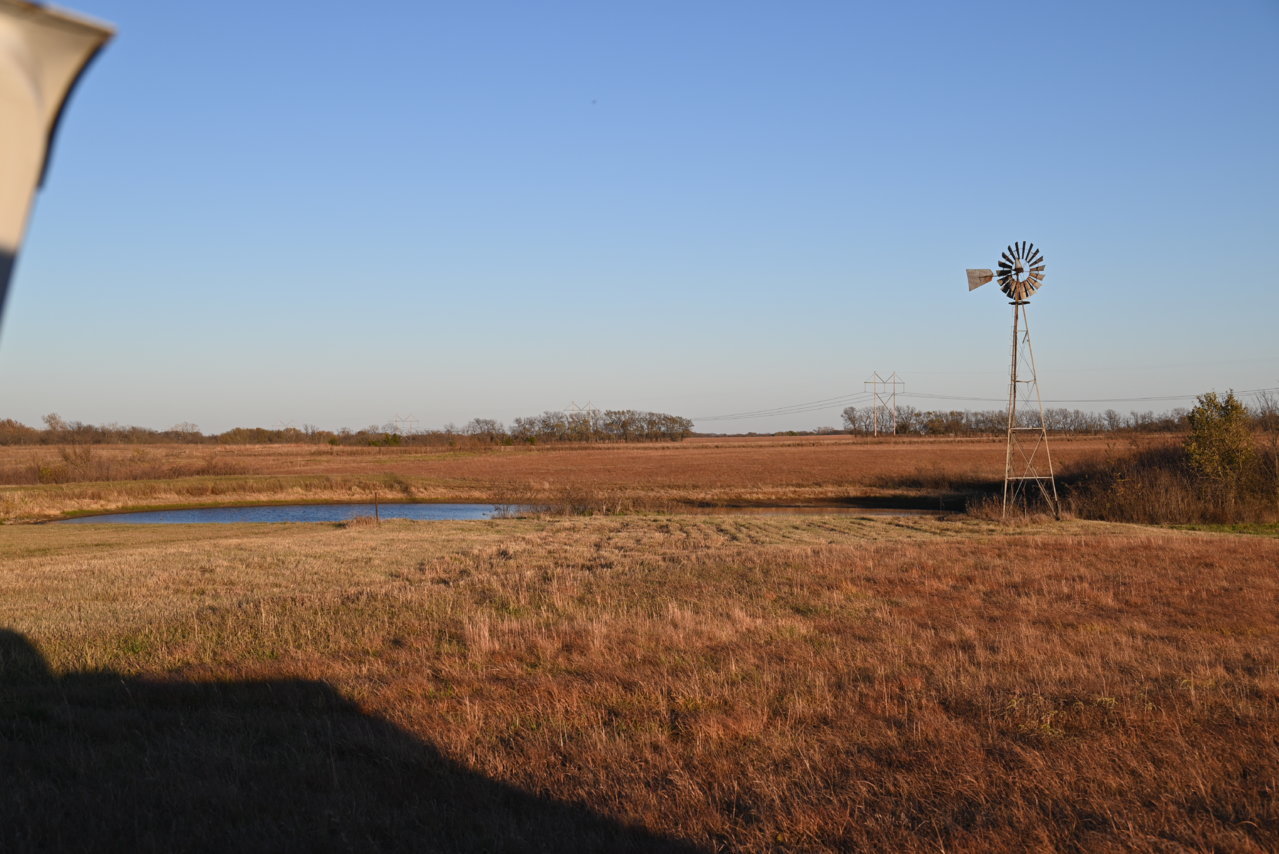 DSC_0133.jpg