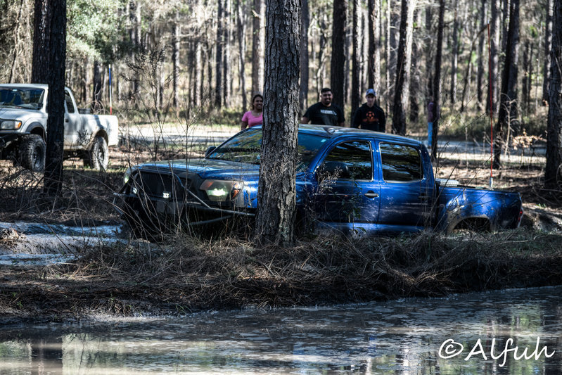 DSC_0133.jpg